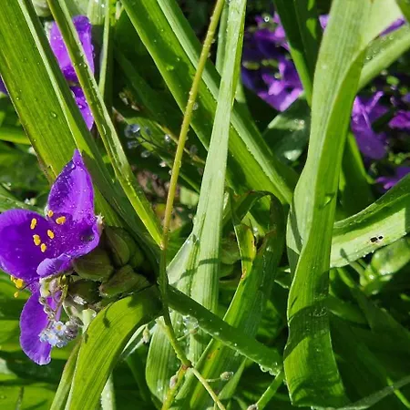 Ferienhaus La Maison Du Vigneron