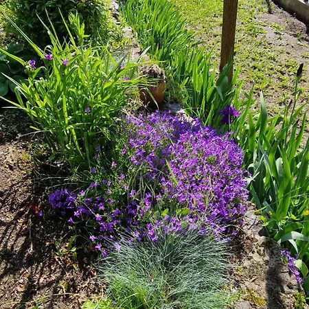 Ferienhaus La Maison Du Vigneron Auzon