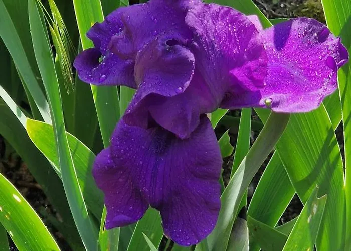 La Maison Du Vigneron