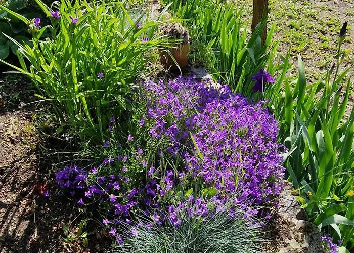Casa de Férias La Maison Du Vigneron Auzon